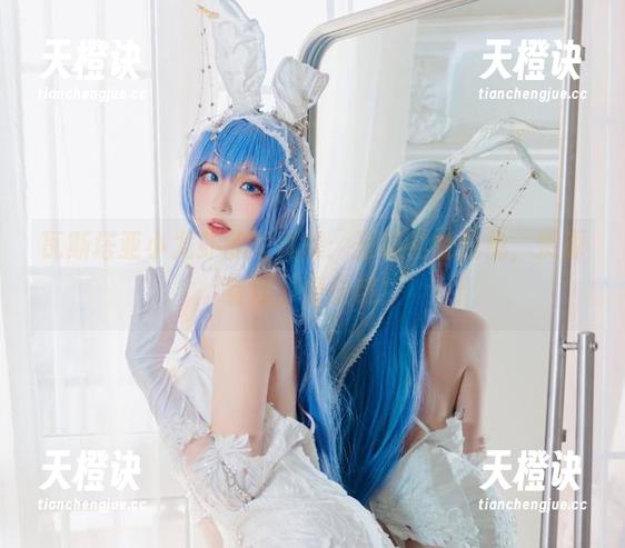 瓦斯塔亚小龙虾的写真集：圣诞礼物兔兔，资源有限，要快哦！